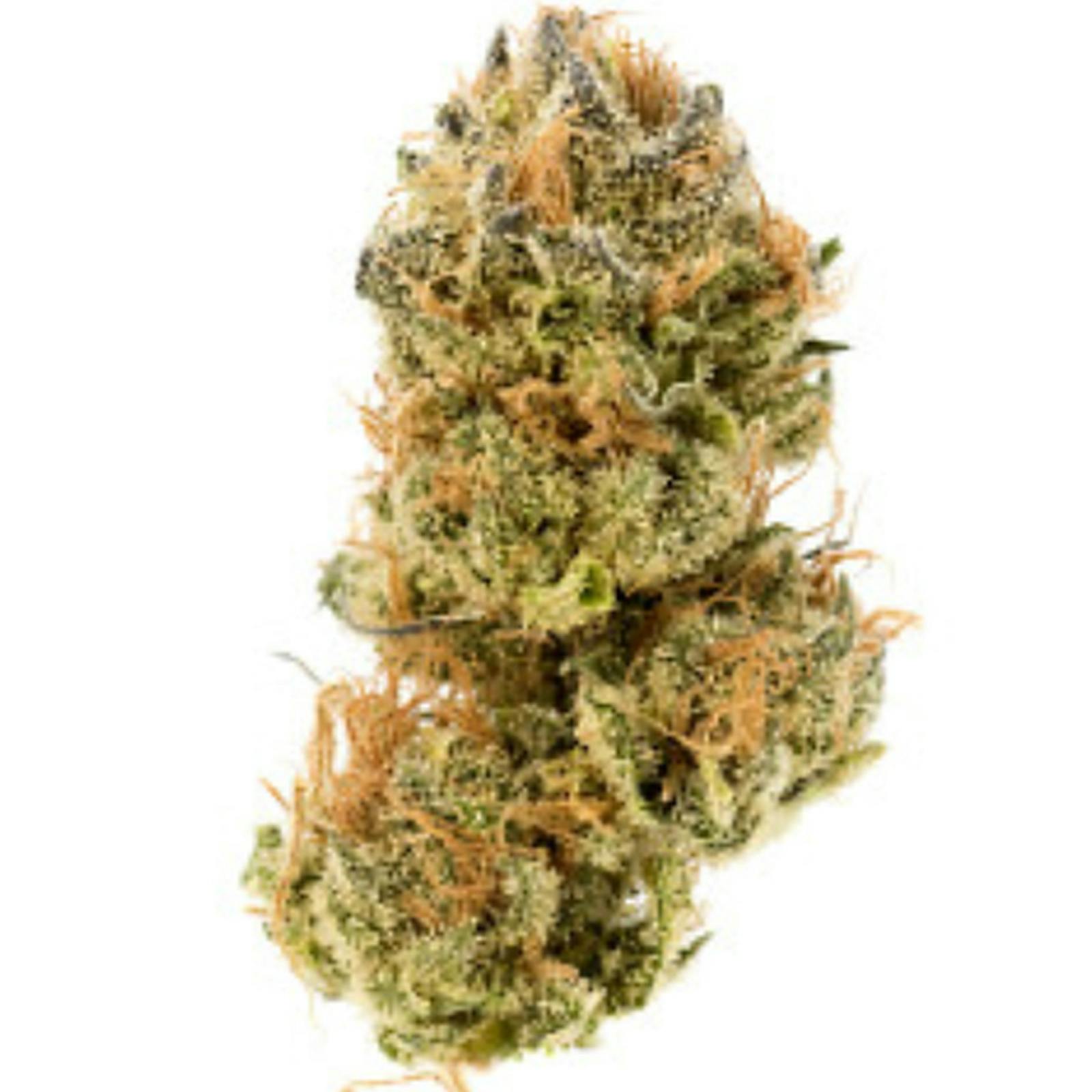Platinum OG